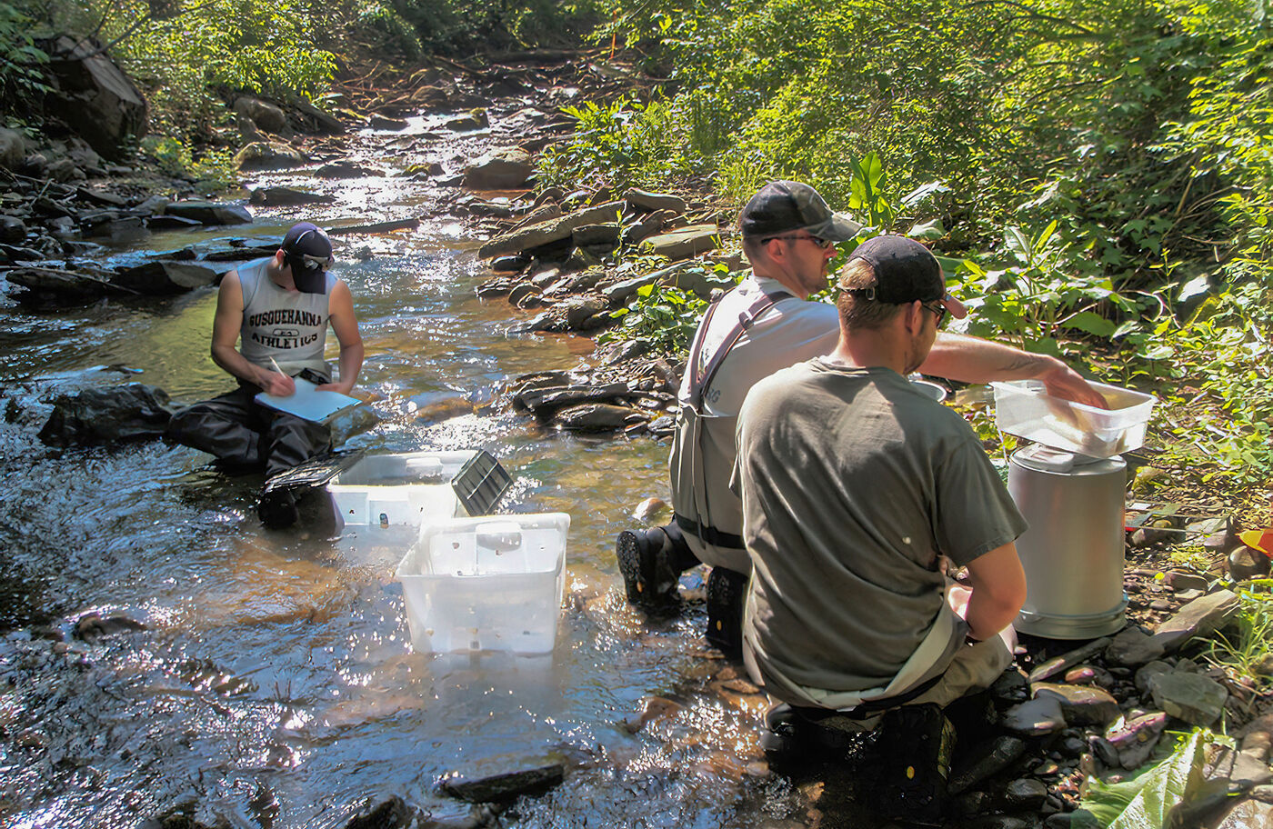 SRBC scientists